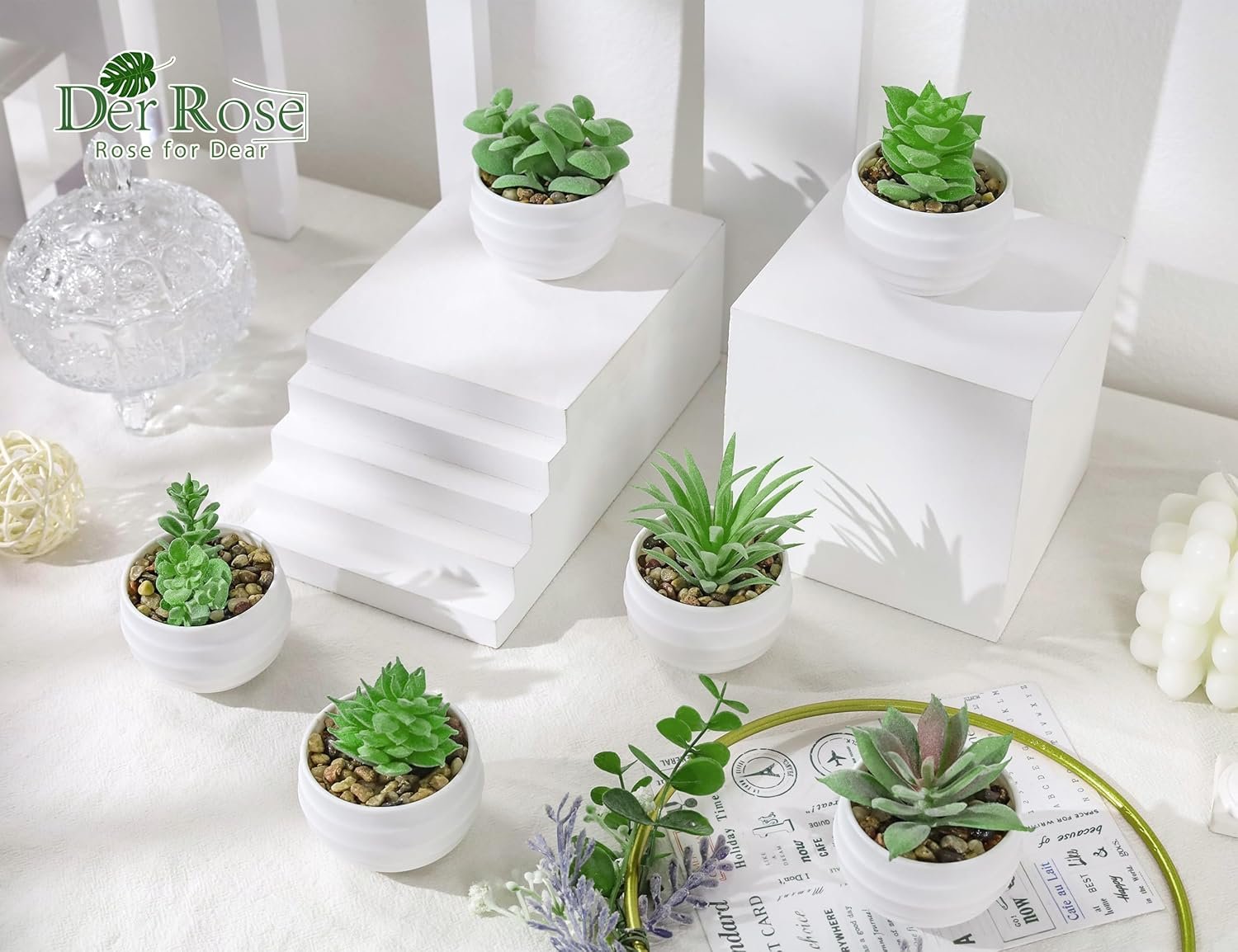Der Rose Set of 6 Succulents Plants Artificial in Pots Small Fake Plants for Bedroom Aesthetic Living Room Office Shelf Bathroom Decor 4 Der Rose Set of 6 Succulents Plants Artificial in Pots Small Fake Plants for Bedroom Aesthetic Living Room Office Shelf Bathroom Decor - Image 4
