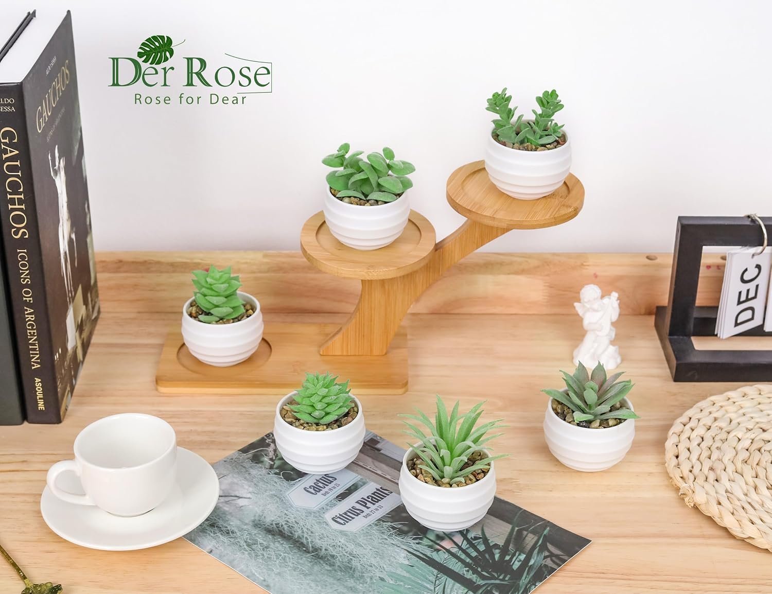 Der Rose Set of 6 Succulents Plants Artificial in Pots Small Fake Plants for Bedroom Aesthetic Living Room Office Shelf Bathroom Decor 5 Der Rose Set of 6 Succulents Plants Artificial in Pots Small Fake Plants for Bedroom Aesthetic Living Room Office Shelf Bathroom Decor - Image 5
