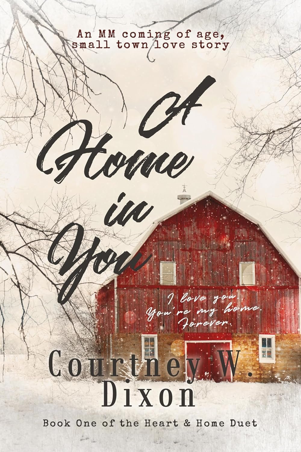 A Home in You - An MM Coming of Age Love Story (Heart & Home Duet Book 1)