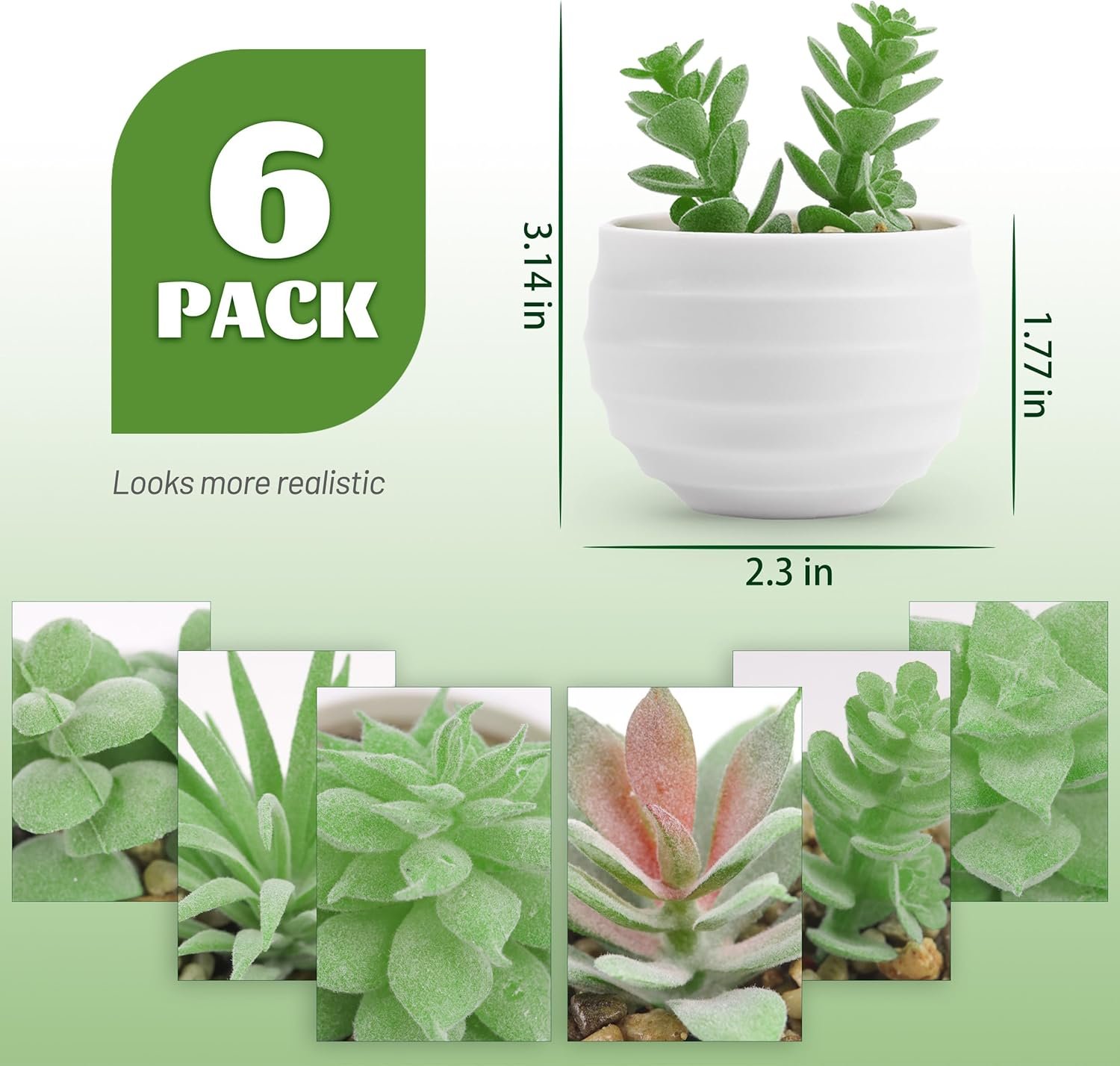 Der Rose Set of 6 Succulents Plants Artificial in Pots Small Fake Plants for Bedroom Aesthetic Living Room Office Shelf Bathroom Decor 2 Der Rose Set of 6 Succulents Plants Artificial in Pots Small Fake Plants for Bedroom Aesthetic Living Room Office Shelf Bathroom Decor - Image 2